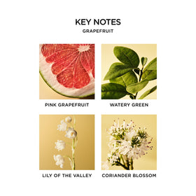NEST New York Reed Diffuser grapefruit notes deliver fresh, uplifting scent with citrus clarity.