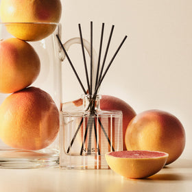 NEST New York Reed Diffuser room ambience showcases the diffuser in a living space.