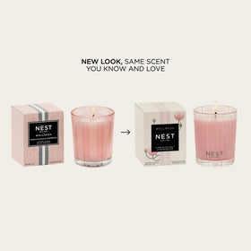 NEST New York rosewater-geranium salted-amber votive delivering serenity with fresh aquatic notes