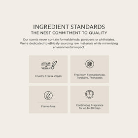 Nest New York wall diffuser refills display, showcases fragrance options for personalized ambiance
