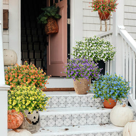 NETAP patio decor setup adding year-round color