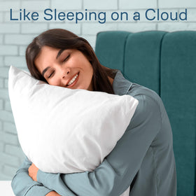 Auto-lock zipper detail shown for secure, reliable pillow protection.