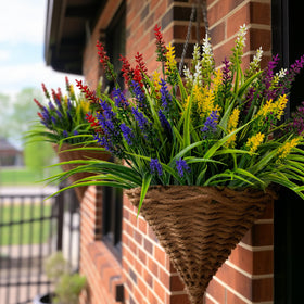 Nigirior 24-bundle color mix for porches, windows, and gardens.