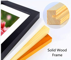 NIHO-JIUMA frame interior with 12x12 display area and mat