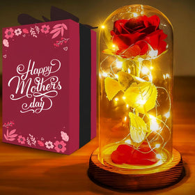 Norcalway rose-dome with 6hr timer glows softly for elegant room decor.