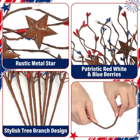 Norme farmhouse patriotic decor berry pick ideal for wreaths