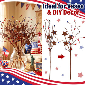 Norme rusted metal star berry branch provides rustic farmhouse charm