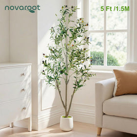 NOVAROOT olive tree with moss creates a natural base for decor