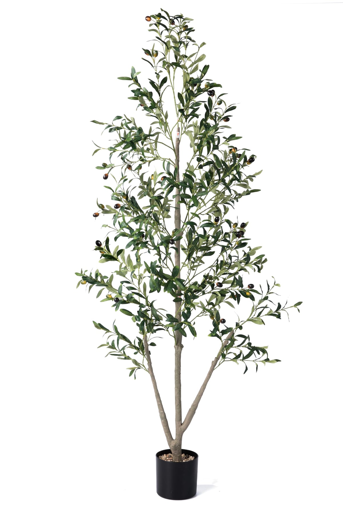 NOVAROOT 5ft olive tree with planter adds year-round greenery to living spaces