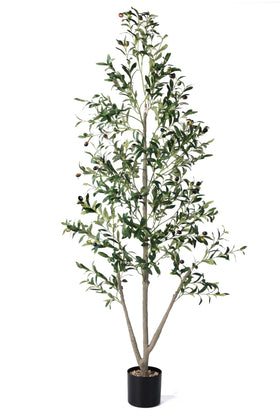 NOVAROOT 5ft olive tree with planter adds year-round greenery to living spaces