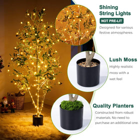 NOVAROOT adjustable branches let you shape the tree easily
