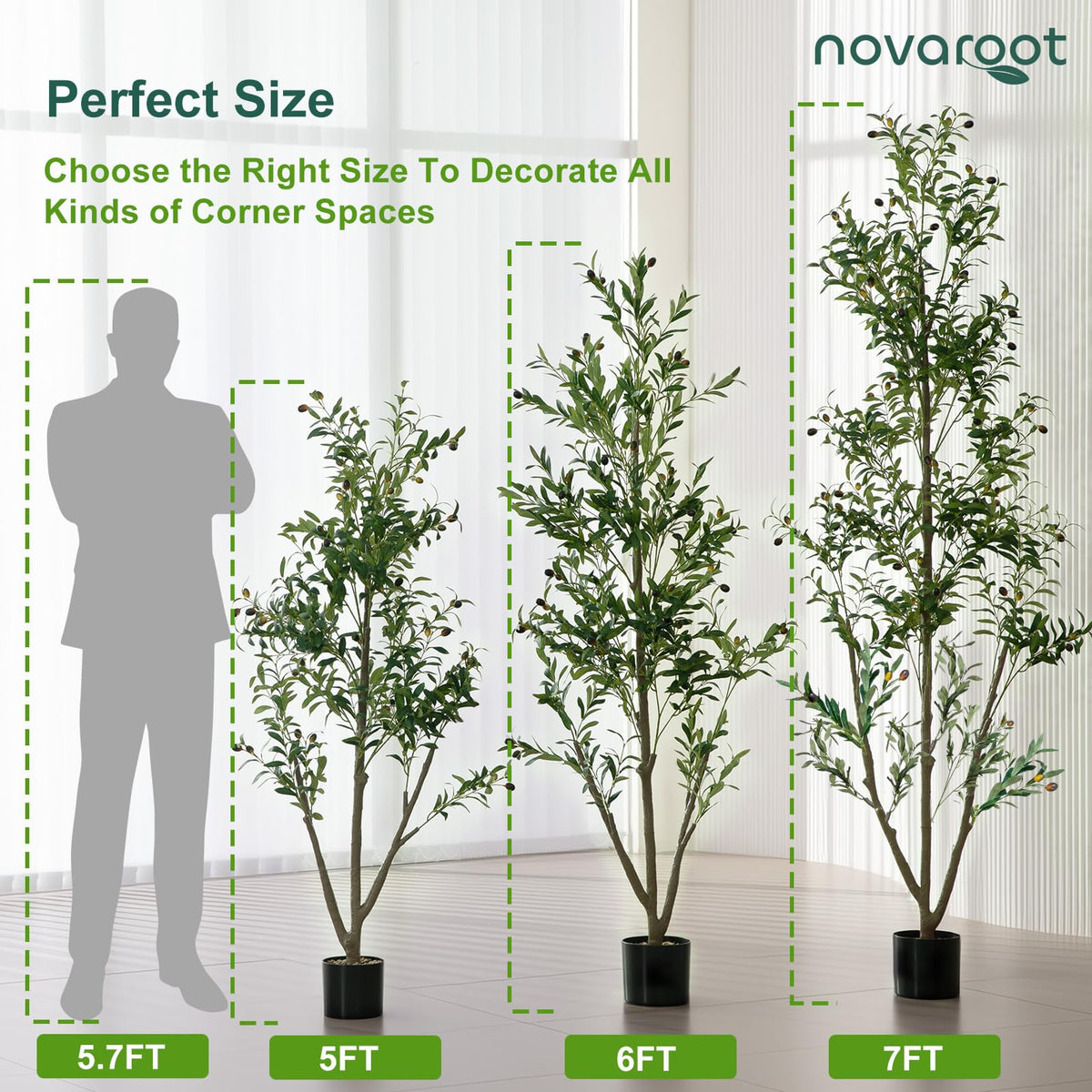 NOVAROOT indoor decor item adds instant ambiance