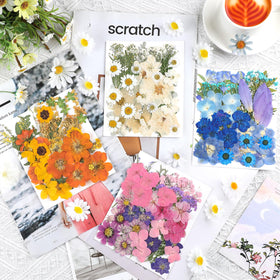 Nuanchu dried flowers natural varieties for scrapbooking and card making