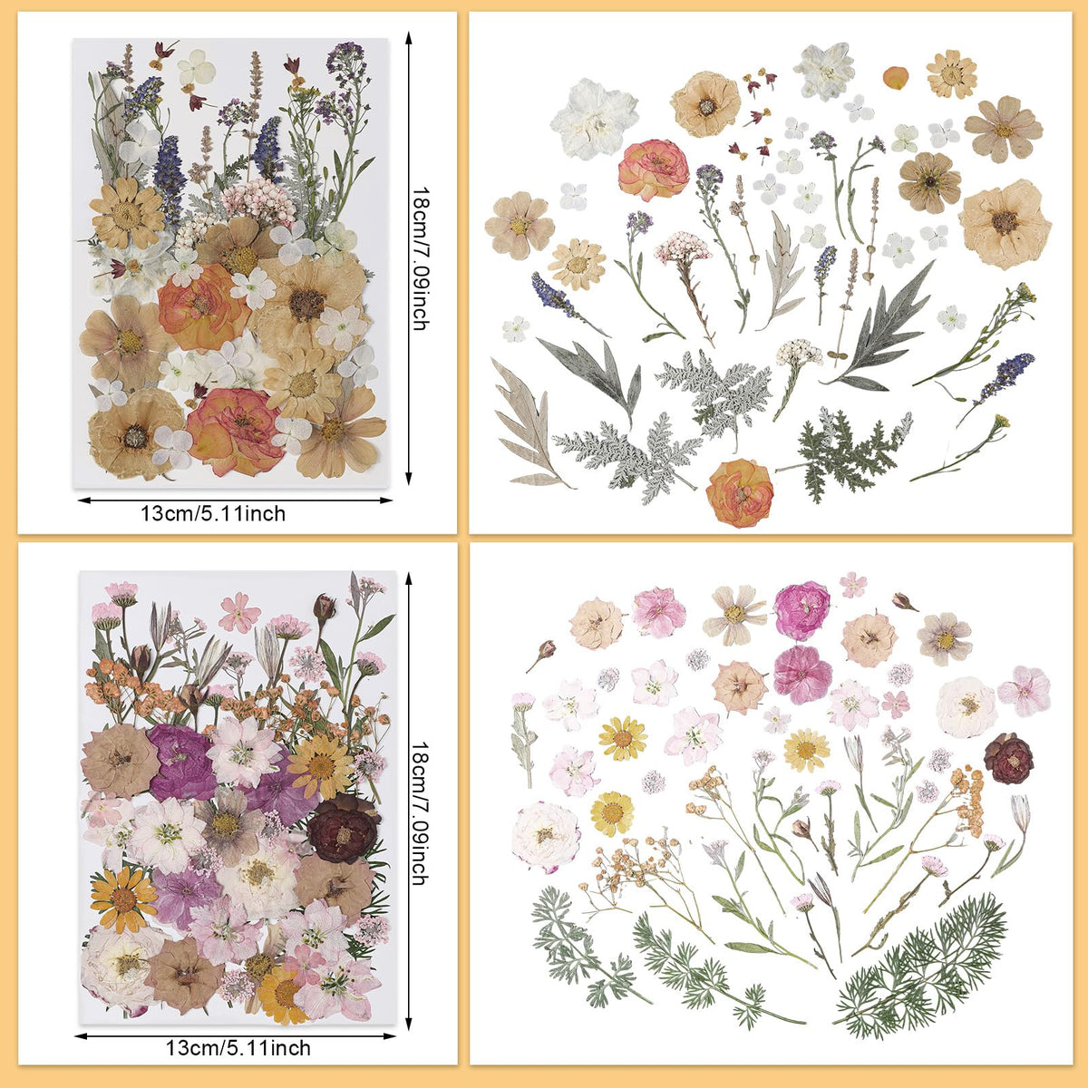 Nuanchu dried flowers for resin crafts, ideal for molds and jewelry design.