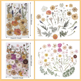 Nuanchu dried flowers for resin crafts, ideal for molds and jewelry design.
