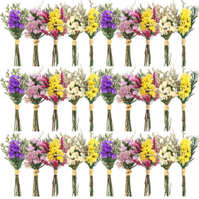 Nuanchu forget-me-not dried bouquet close-up for mini arrangements and long-lasting decor.