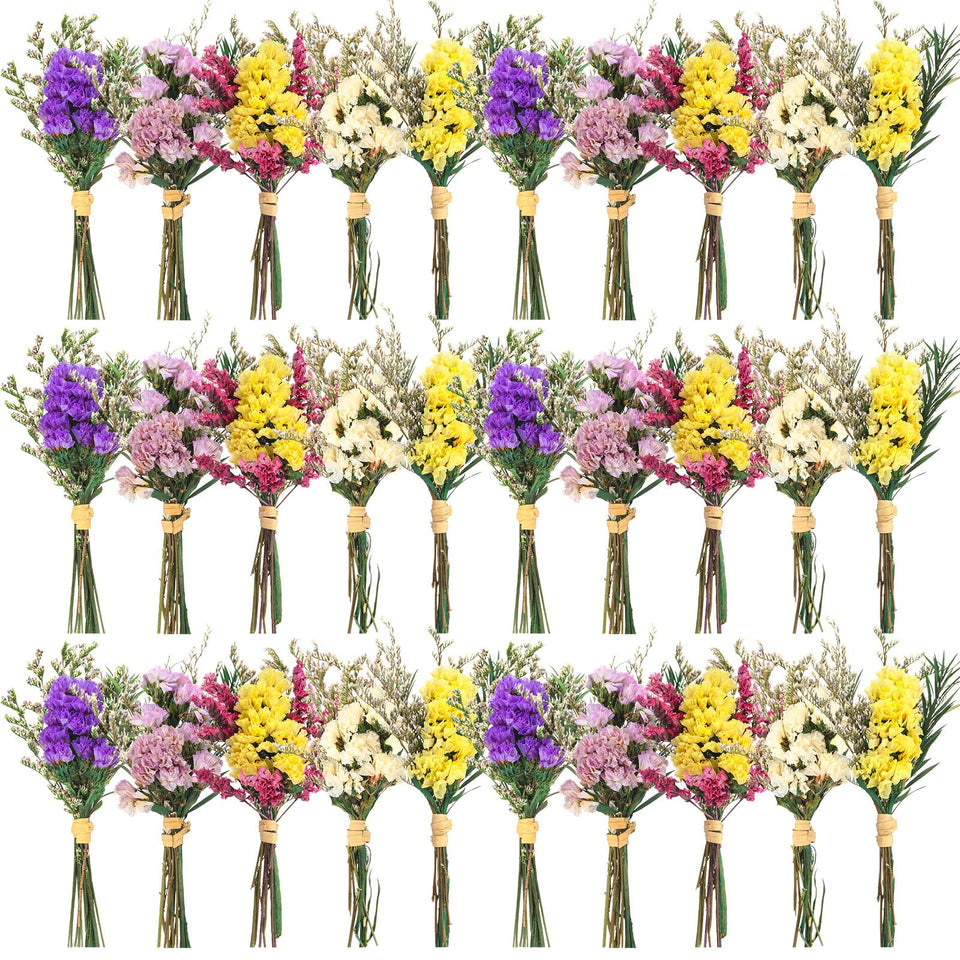 Nuanchu forget-me-not dried bouquet close-up for mini arrangements and long-lasting decor.