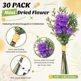Nuanchu mini dried flowers with stems ideal for vases and DIY crafts.