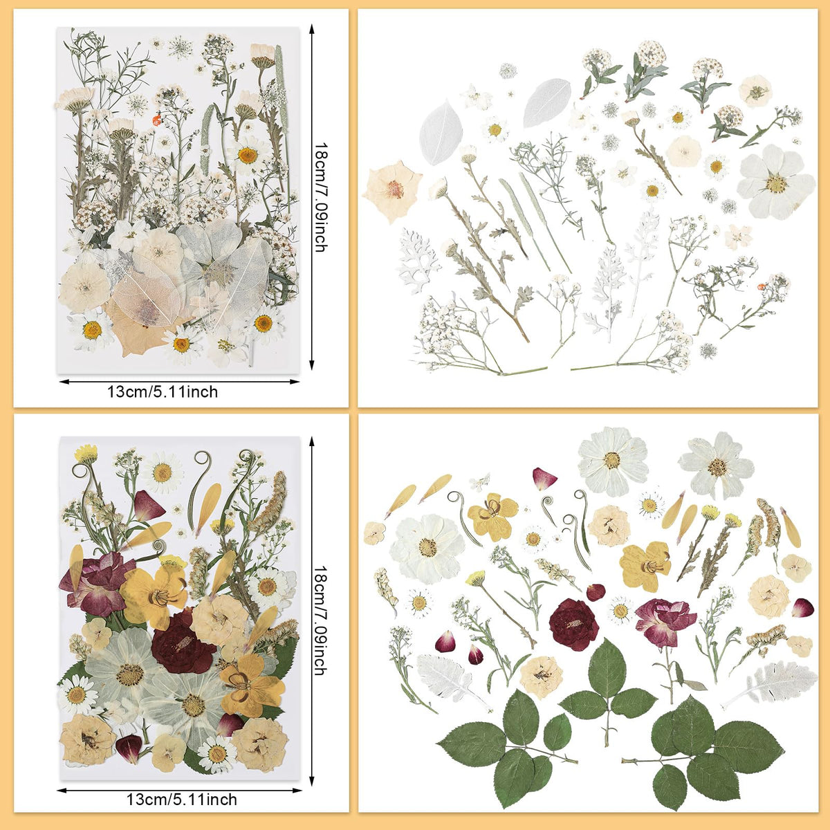 Nuanchu natural varieties pressed flowers, diverse textures for unique DIY projects.