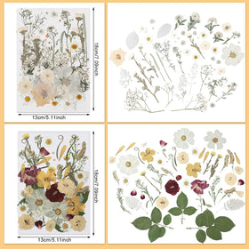 Nuanchu natural varieties pressed flowers, diverse textures for unique DIY projects.