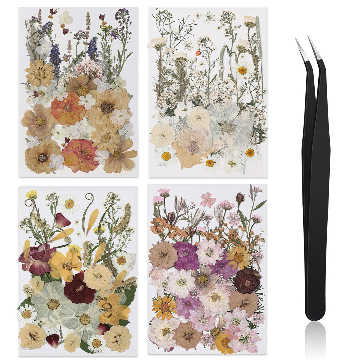 Nuanchu pressed flowers bulk pack for crafts, vivid colors for resin and scrapbooking.