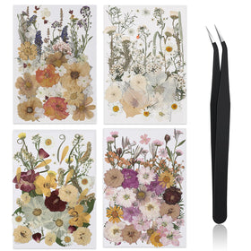 Nuanchu pressed flowers bulk pack for crafts, vivid colors for resin and scrapbooking.