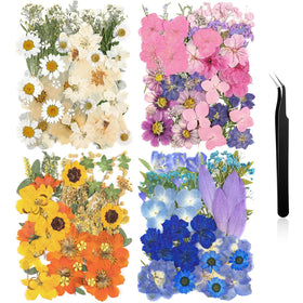 Nuanchu pressed flowers mixed color kit for versatile DIY crafts and resin projects