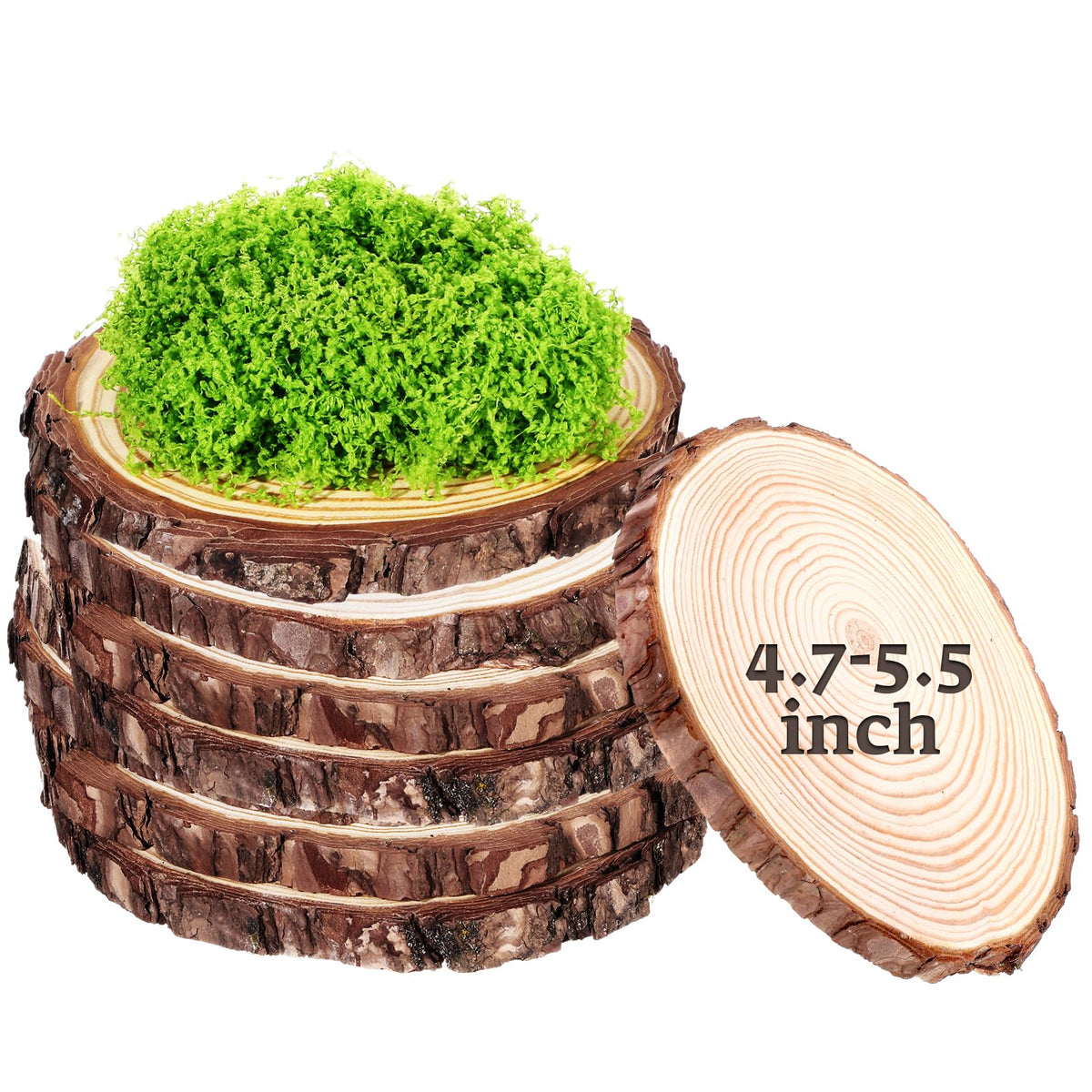 Nuanchu rustic wood slice close-up showing natural grain detail.