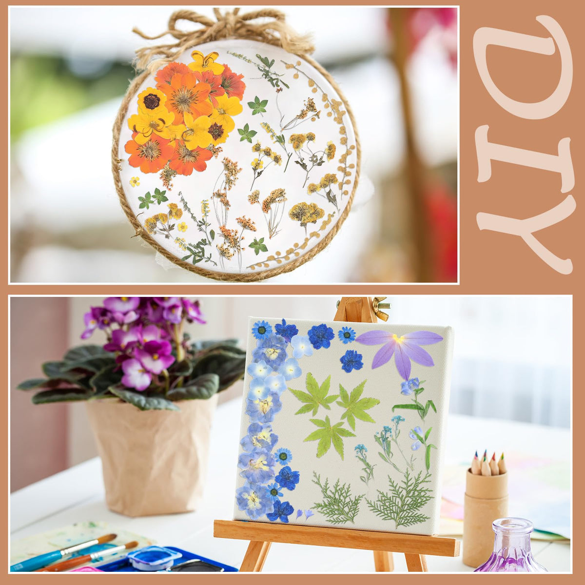 Nuanchu vacuum packaging protects dried flowers during shipping and storage