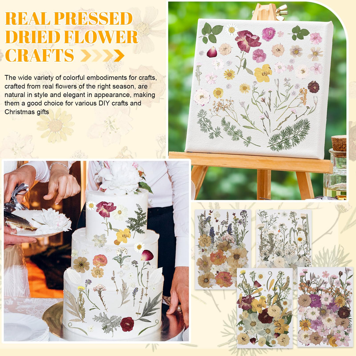 Nuanchu vacuum-sealed packaging preserves delicate petals during shipping.