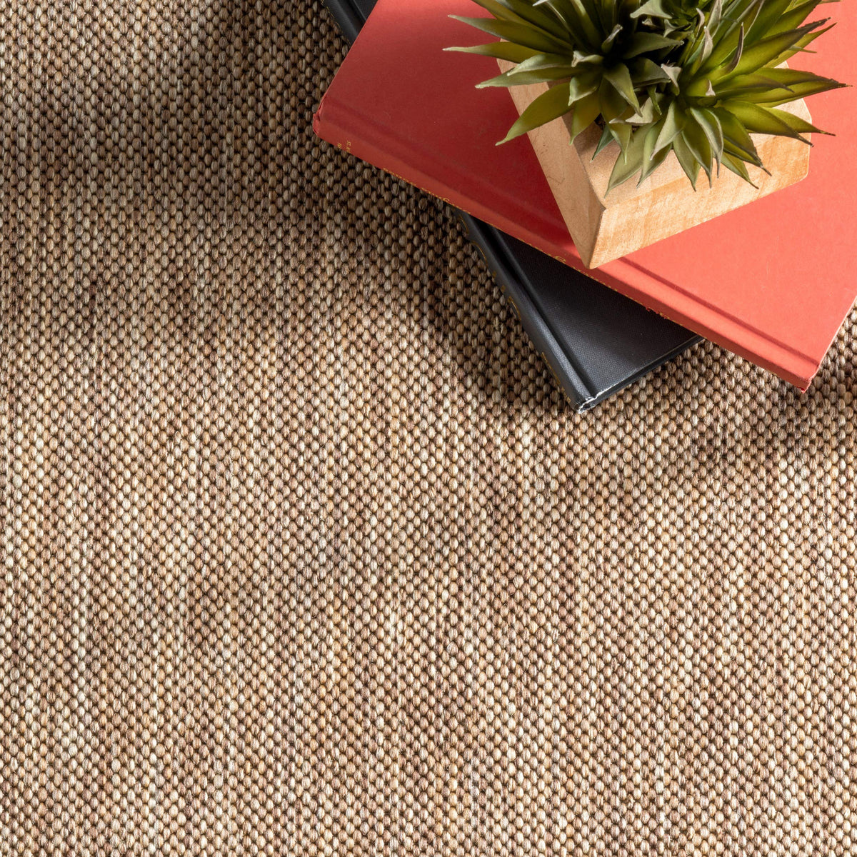 nuLOOM Asha 4x6 rug anchors outdoor seating areas.