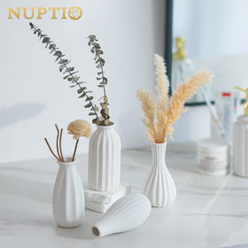 NUPTIO unglazed matte finish vase enhances natural dried florals.