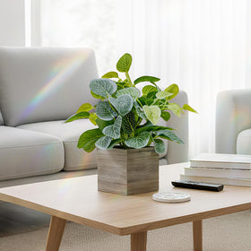 Nztze 12inch-artificial-plant-vase: fits desks or shelves with instant greenery