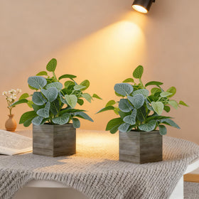 Nztze 2-pack eucalyptus 12in: lifelike greenery for desk or shelf refresh