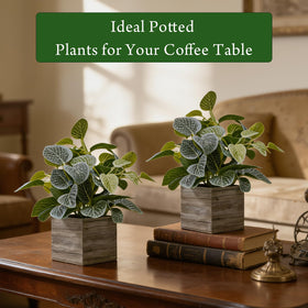 Nztze desk-shelves-bedroom-setup: 12in eucalyptus adds calm greenery