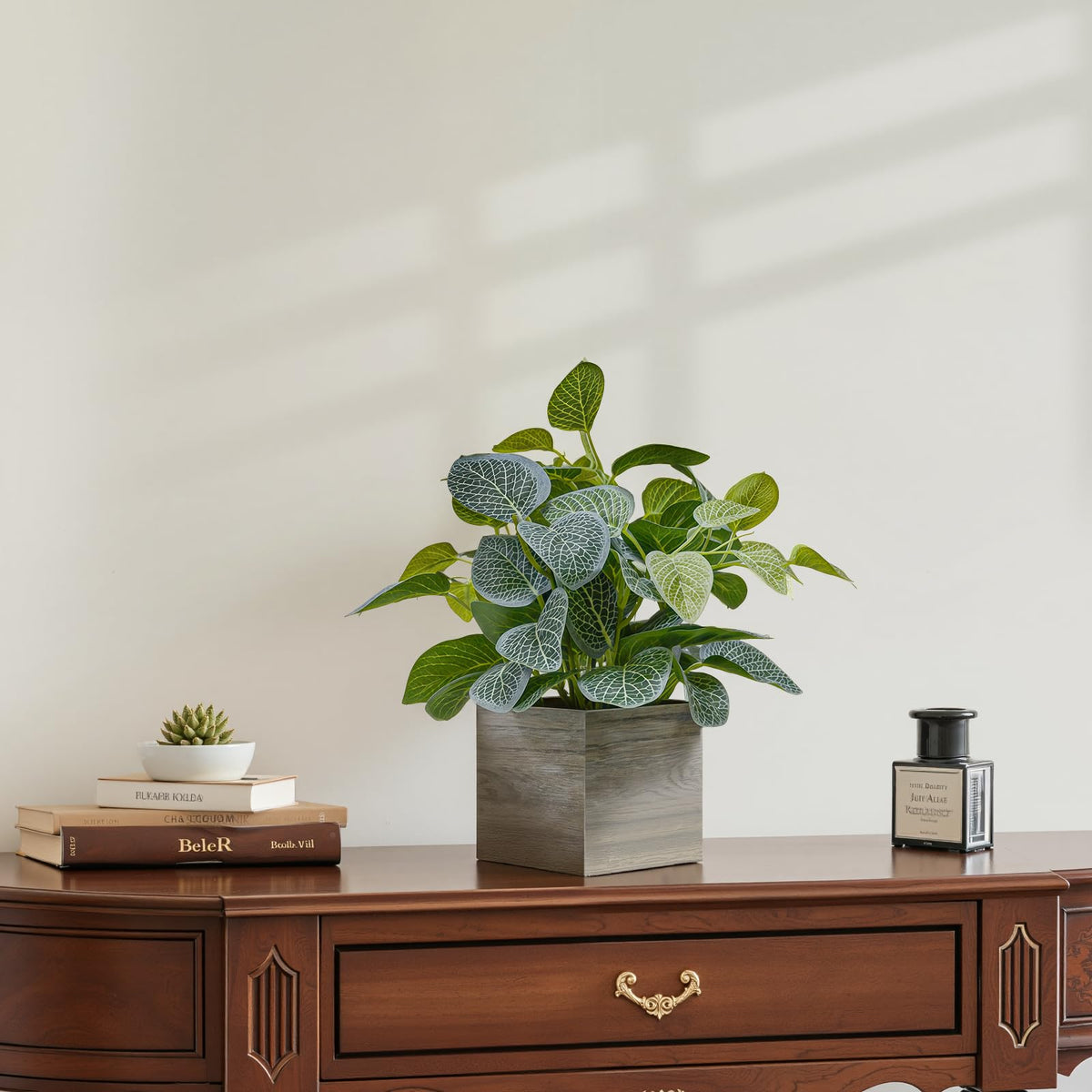 Nztze no-maintenance-greenery: evergreen look without watering or pruning