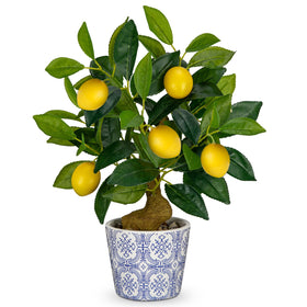 Oairse Lemon Tree in blue white pot shown as lifelike home decor centerpiece