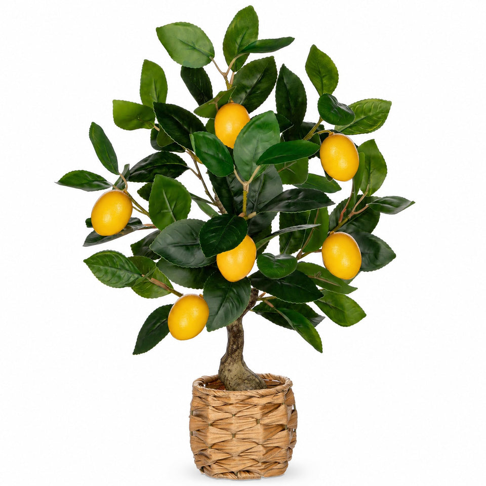 Oairse lemon tree leaves close-up shows lifelike texture for home décor