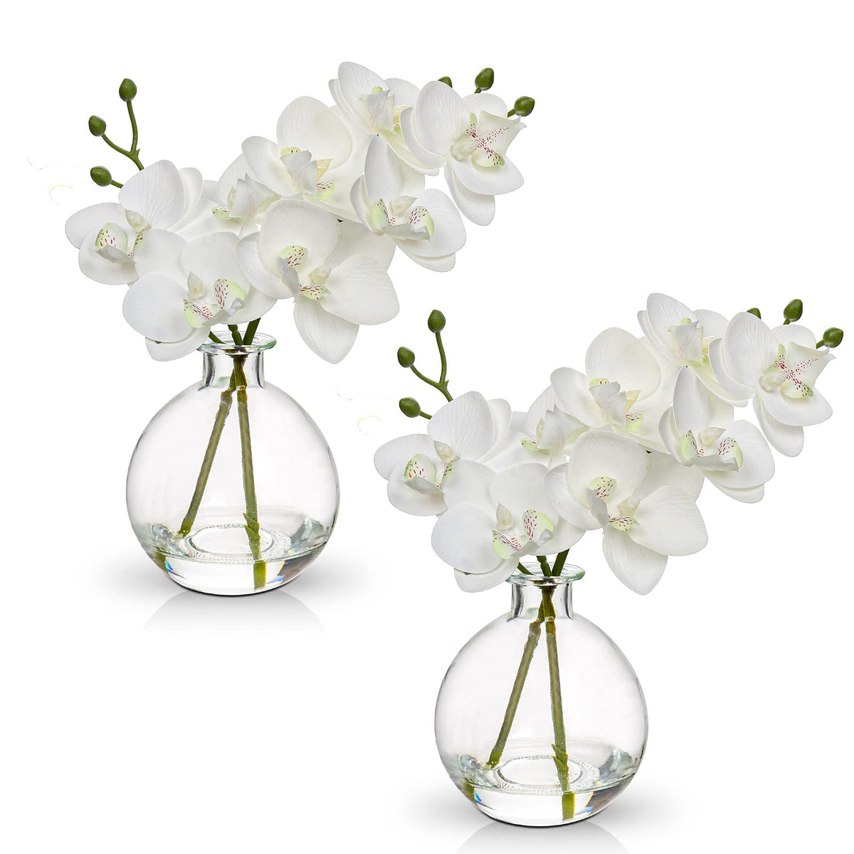 Oairse White Orchids in a glass vase, elegant dining-room centerpiece