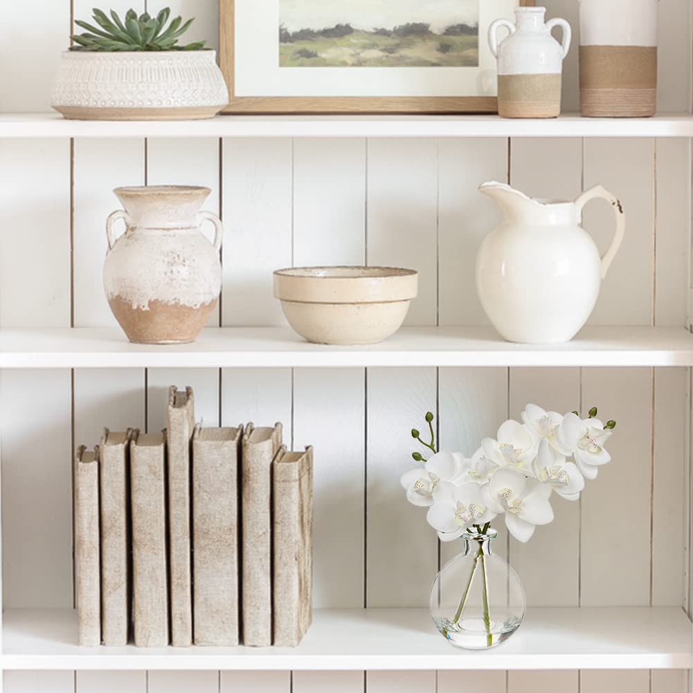 Oairse set of two orchids adds versatile décor for home or office