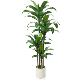 OAKRED artificial dracaena tree 6ft with white planter for stylish indoor decor.