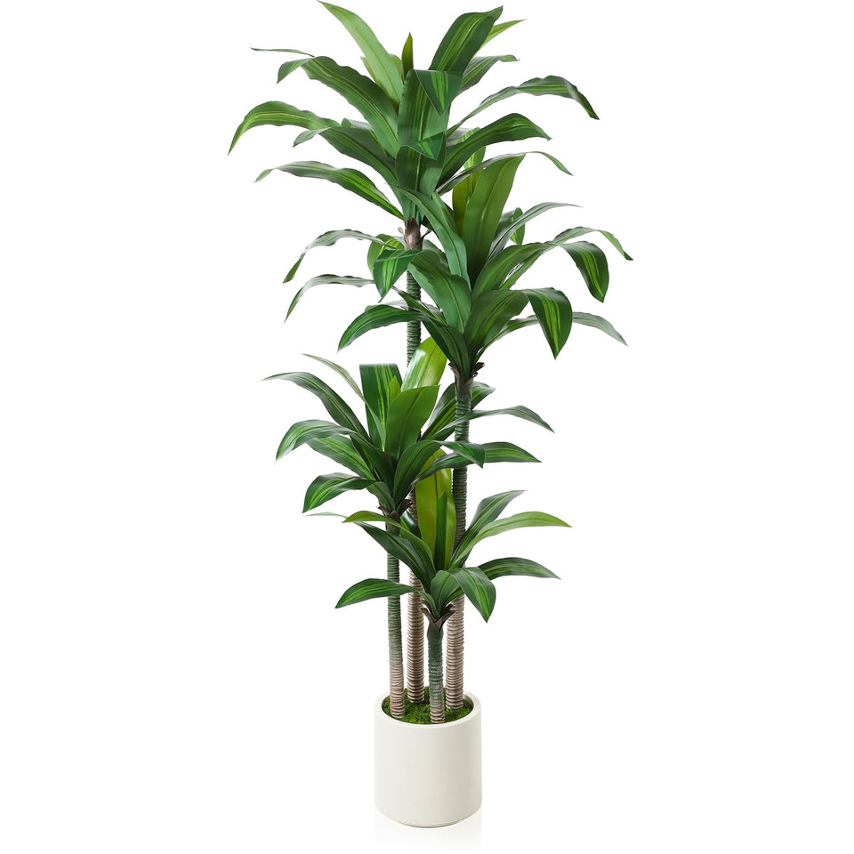 OAKRED artificial dracaena tree 6ft with white planter for stylish indoor decor.