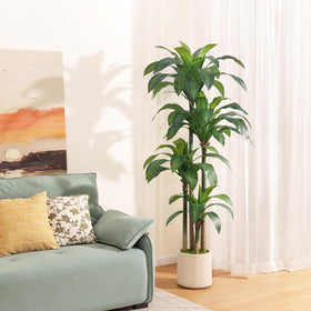 OAKRED artificial dracaena tree full-leaves view enhances lifelike ambiance.