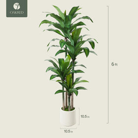 OAKRED artificial dracaena tree in living room display boosts ambiance.
