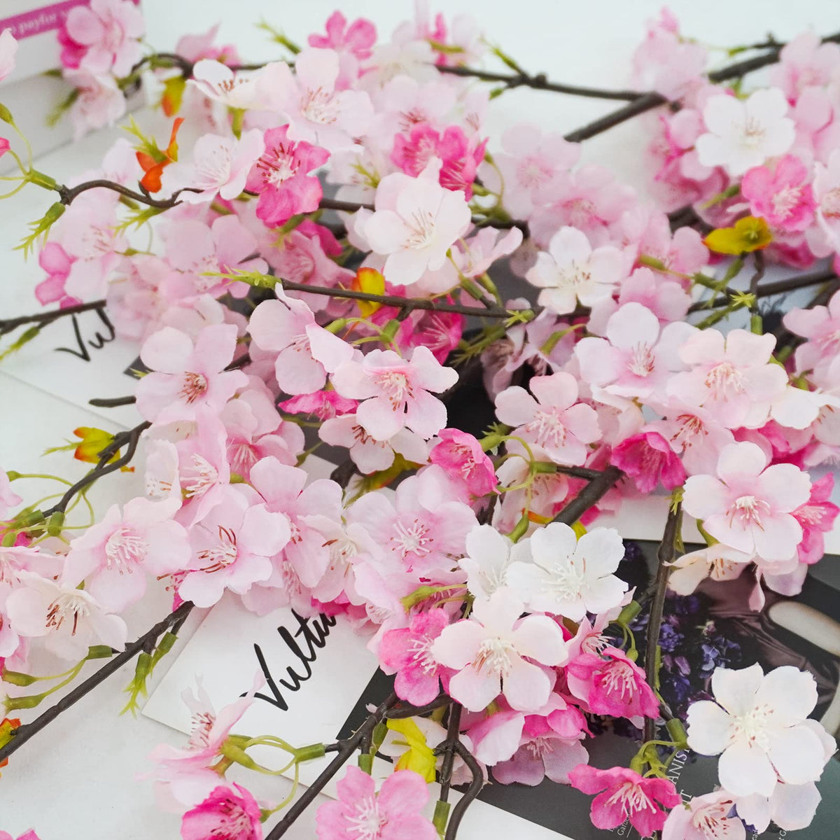 Closeup of Obbsie cherry blossom branch petals showing silk texture
