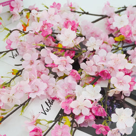 Closeup of Obbsie cherry blossom branch petals showing silk texture