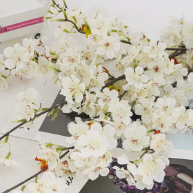 obbsie cherry blossom branches in vase highlighting easy maintenance