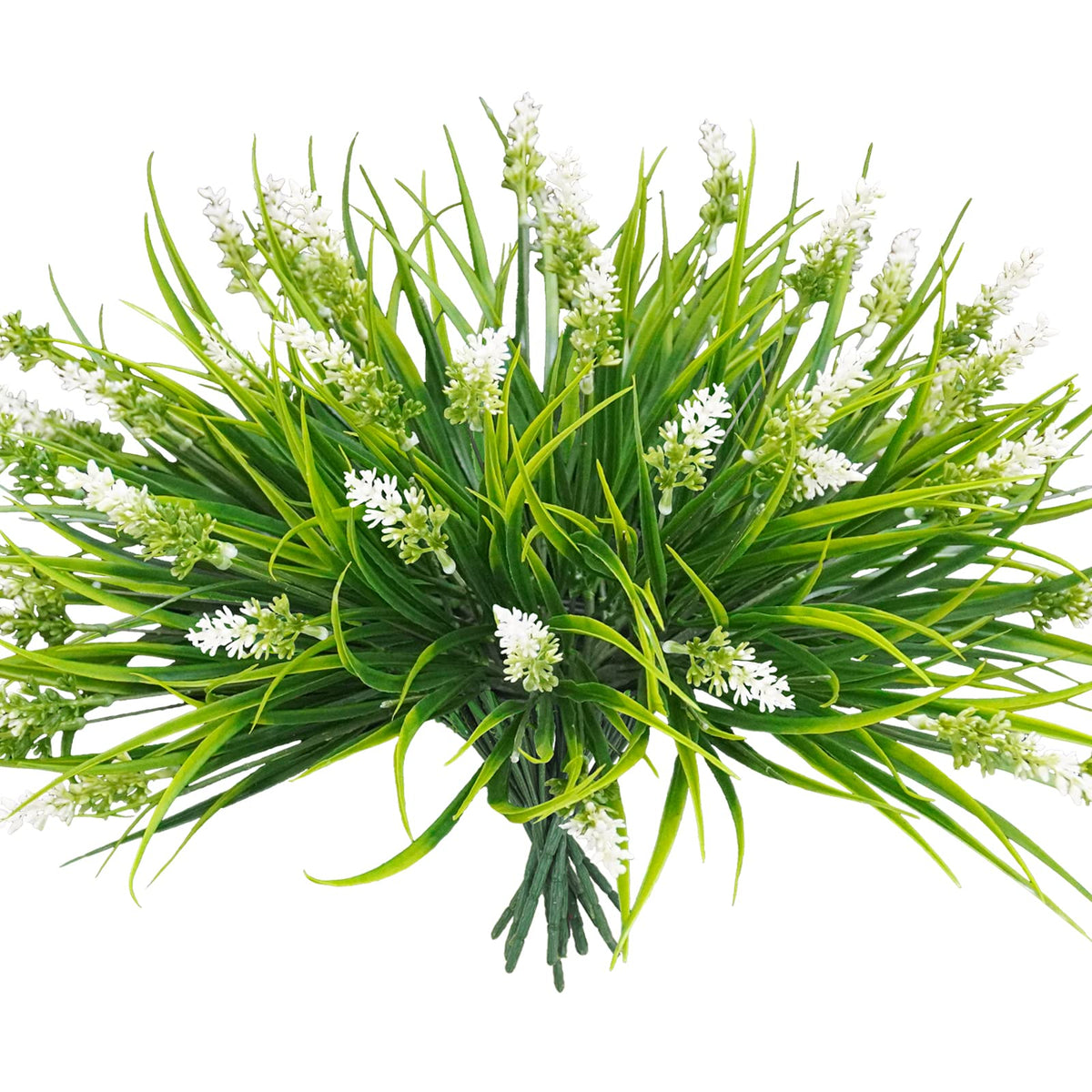 obbsie monkey grass stems arranged for a lush outdoor focal point.