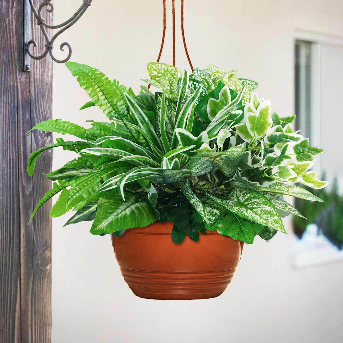 obbsie eucalyptus leaves offer fresh greenery for spaces