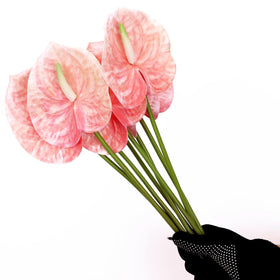 obdxzhc indoor outdoor decor that stays vibrant year round.